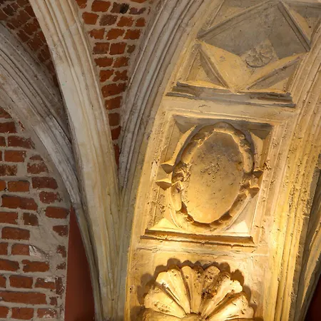 얼라이언스 - 코뱅 데 미님 4*