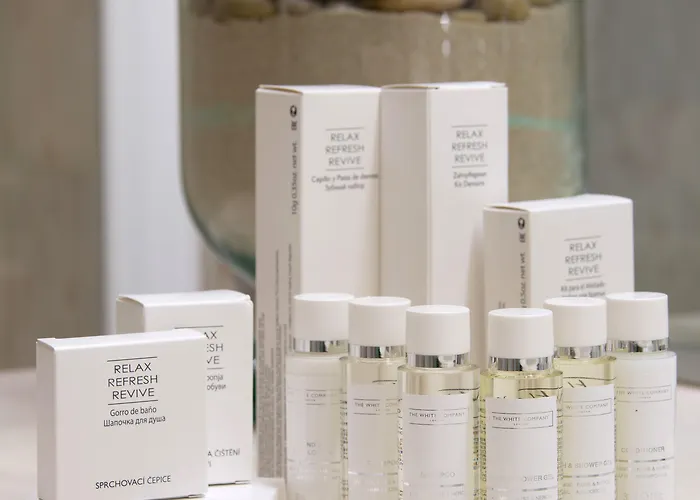 Alliance - Couvent Des Minimes فندق ليل